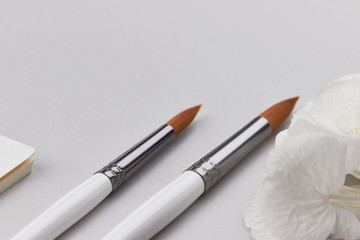 light grey white paint brush minimalistic hydrangea minimalistic clean