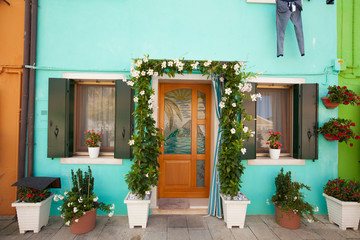 Fototapeta na wymiar window with flowers in Burano island italy