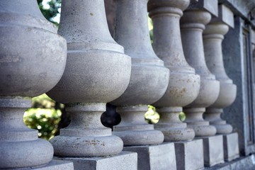 figure fence in the old Park