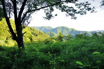 Obraz premium 朝日の奥多摩