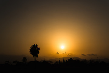 Silhouette of a desert landscape with a palm tree against the sun at sunset, dark orange background.