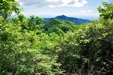 御前山より大岳を望む