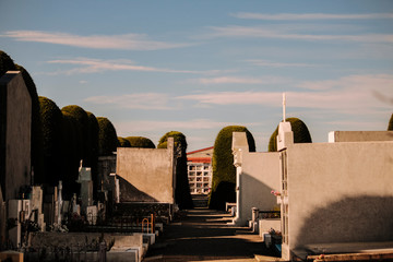 Punta Arenas Cemetery 