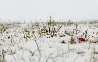 Snow drifts in winter