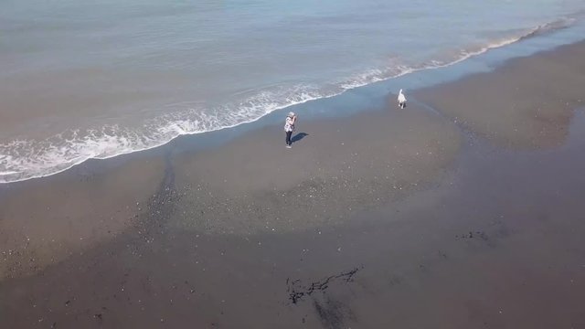 POV Drone; aerial view of white haired, Caucasian woman taking photos along beach with white Labrador dog at low tide near Clam Gulch, Alaska