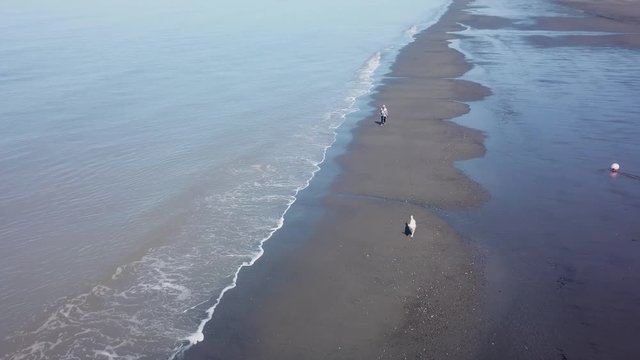 POV Drone; aerial view of white haired, Caucasian woman walking along beach with white Labrador dog at low tide near Clam Gulch, Alaska; her red off road vehicle is in the background