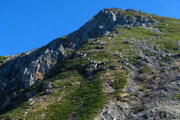 晩秋の伊那前岳