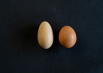 One egg is too long! Two brown eggs side-by-side on black background, showing that one is very long
