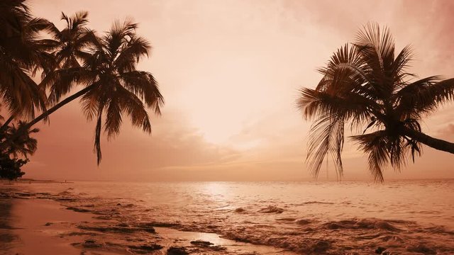 Sunset palm trees, waves, sea clouds. Beautiful pink sunset sand beach paradise island. Peaceful background of perfect sea shore for summer vacation Exotic summer Sunrise. Sunrise on tropical Beach.