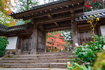 Fototapeta na wymiar 京都　西明寺の紅葉