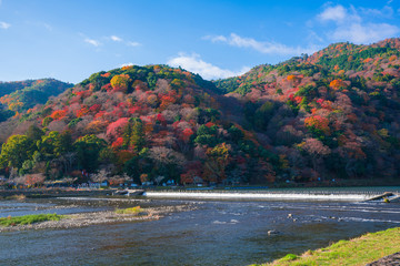 京都　嵐山の紅葉