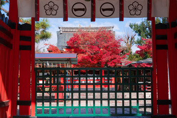 京都　車折神社の紅葉