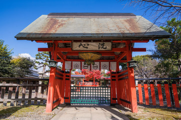 京都　車折神社の紅葉