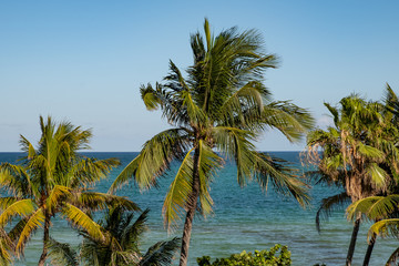 Fototapeta premium Ocean View