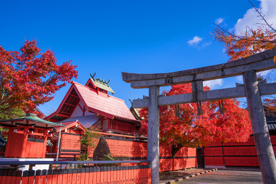 車折神社 の画像 85 件の Stock 写真 ベクターおよびビデオ Adobe Stock