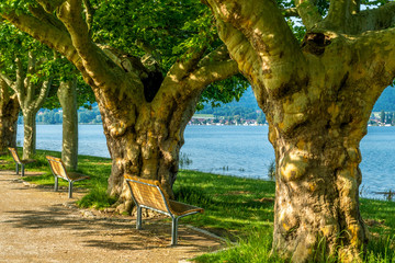 Radolfzell am Bodensee Seeufer im Sommer Mole 