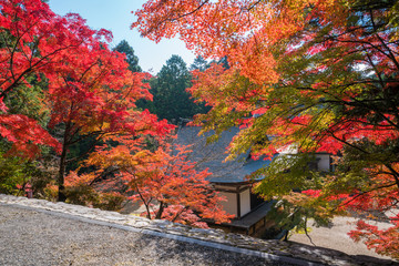 京都　神護寺の紅葉