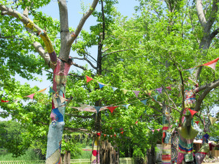 Fototapeta premium 植物公園の飾り