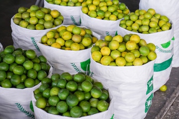 green and yellow limes at a wholesale store