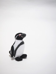 フェルト作品　フンボルトペンギン
