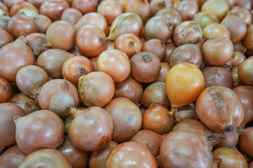 brown oinons close up shot 