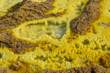 ダロール火山　ダナキル砂漠