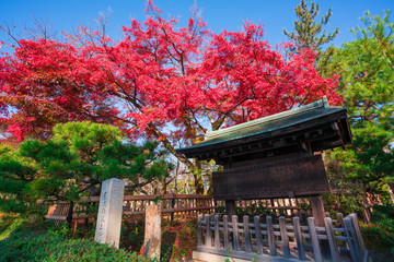 京都　大覚寺の紅葉