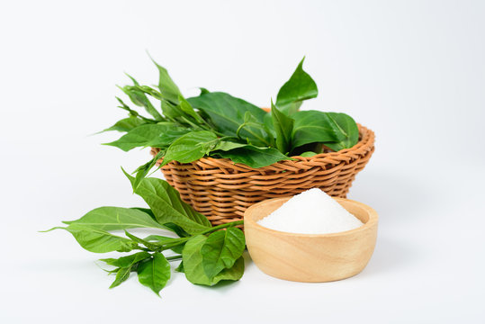 Gymnema inodorum leaf in the basket and sugar on white background, medicine herbal plant for diabetes treatment, function is control sugar level in blood