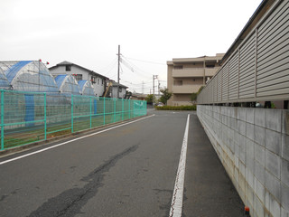 郊外のビニールハウス