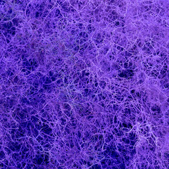 Spines texture background. Plant nature art