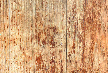 Old wood texture with cracks and knots