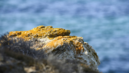 Close-up view of a rocky coast bathed by a turquoise clear water, Emerald coast Sardinia, Italy.