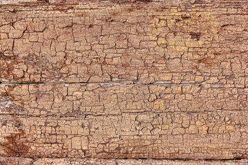 Old wood texture with cracks and knots