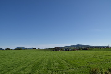 Landscape with field and mountains in Toya, Japan