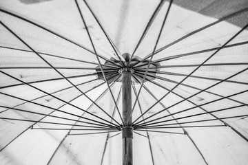 Obraz premium Black and white Under the umbrella texture background