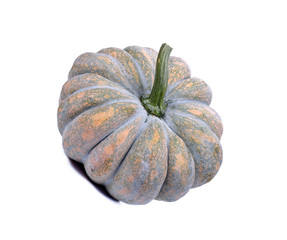 pumpkin isolated on the white background
