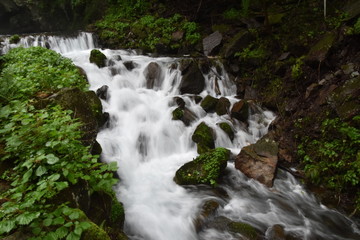 Obraz premium Waterfall with forest in Hokkaido, Japan
