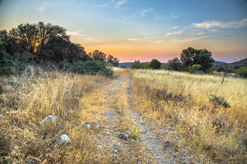 Summer landscape on hilltop in Cevennes National Par