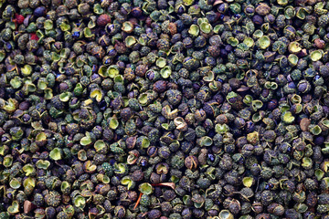 Green peppers on a white background