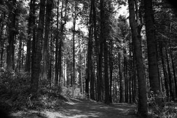 Fototapeta premium La Marquesa National Park, with the official name 