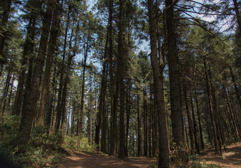 Obraz premium La Marquesa National Park, with the official name 