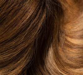 close up of light brown hair