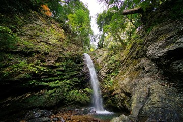 黒山三滝の男滝