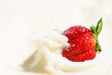 Red natural ripe strawberries falling into milk cream (