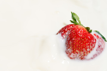 Red natural ripe strawberries falling into milk cream (