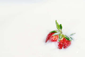Red natural ripe strawberries falling into milk cream (
