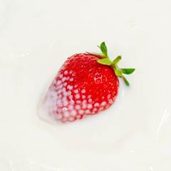 Red natural ripe strawberries falling into milk cream (