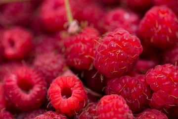 Bio, home growth raspberries close up macro shot, image for background.