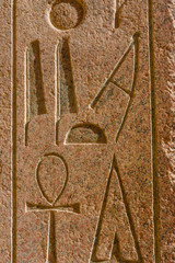 Egyptian ancient hieroglyphs on the stone wall in a temple of Hatshepsut