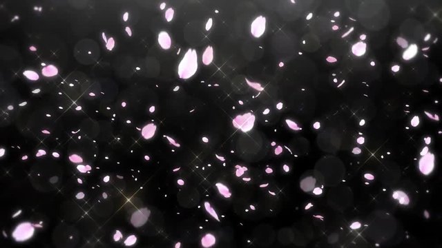 舞い上がる桜（ループ可能）/透過背景